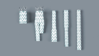 腹主動脈覆膜支架系統(tǒng)（華脈泰科）